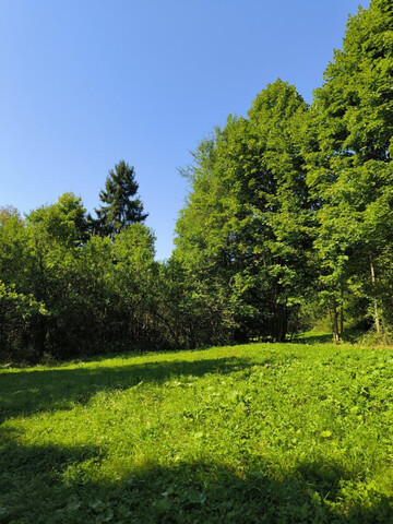 Galéria k nehnuteľnosti