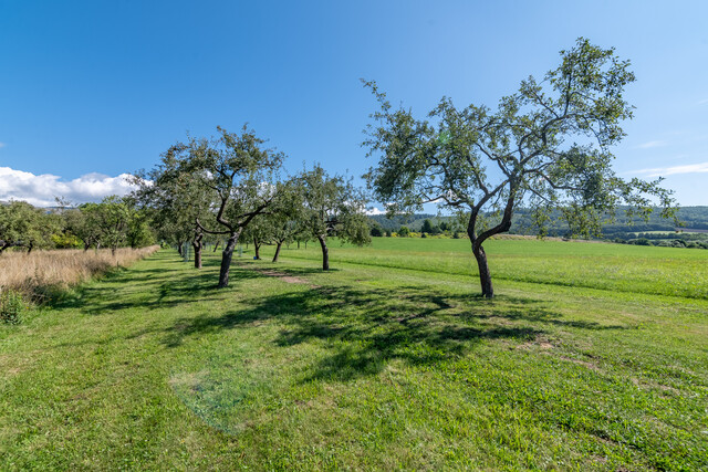 Galéria k nehnuteľnosti