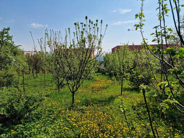 Galéria k nehnuteľnosti