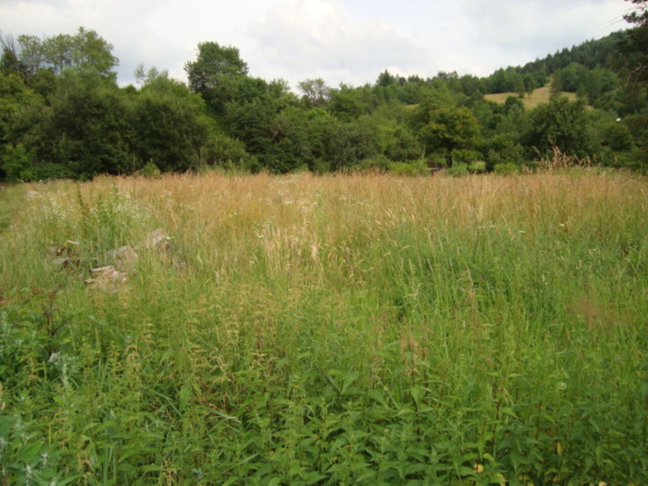 Galéria k nehnuteľnosti