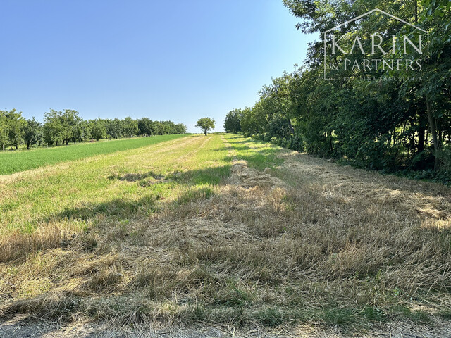 Galéria k nehnuteľnosti