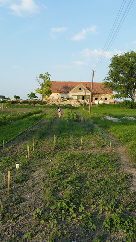 Galéria k nehnuteľnosti