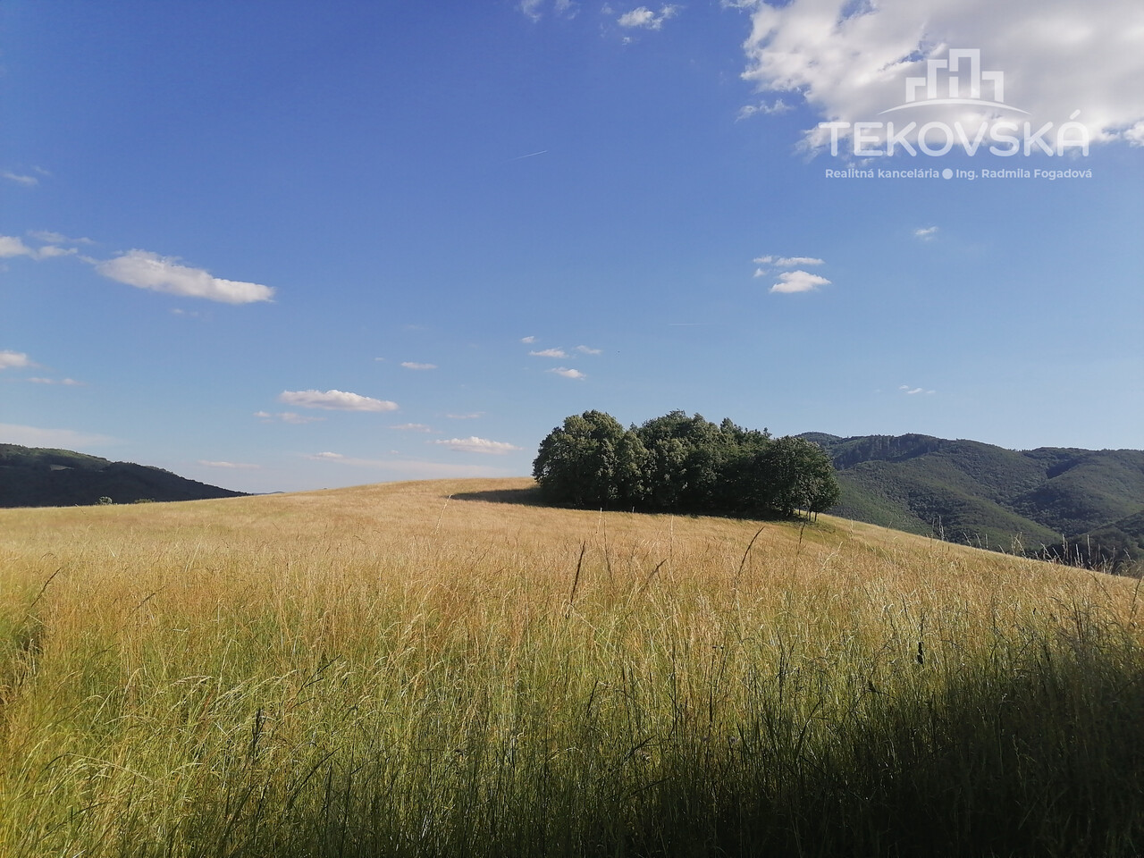 Galéria k nehnuteľnosti