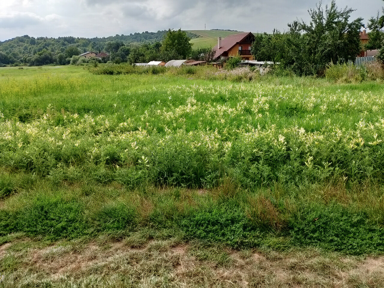 Galéria k nehnuteľnosti