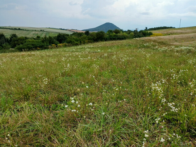 Galéria k nehnuteľnosti