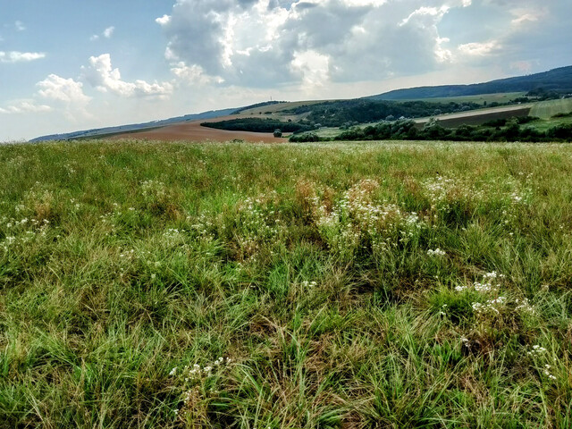 Galéria k nehnuteľnosti