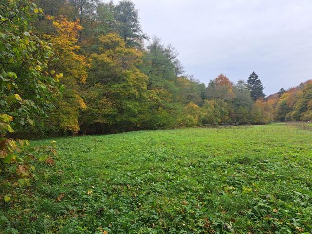 Galéria k nehnuteľnosti