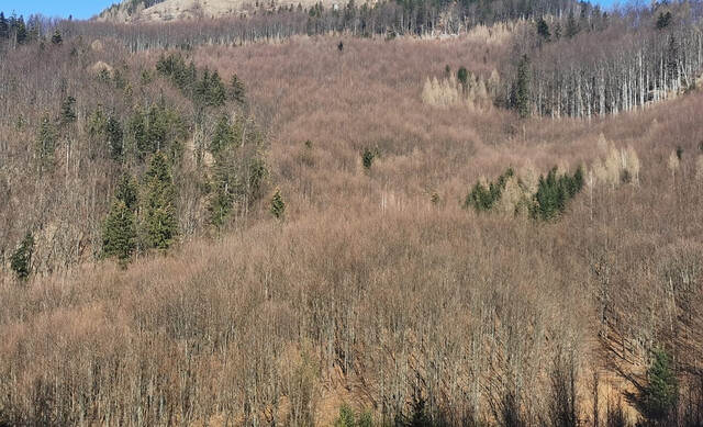 Galéria k nehnuteľnosti