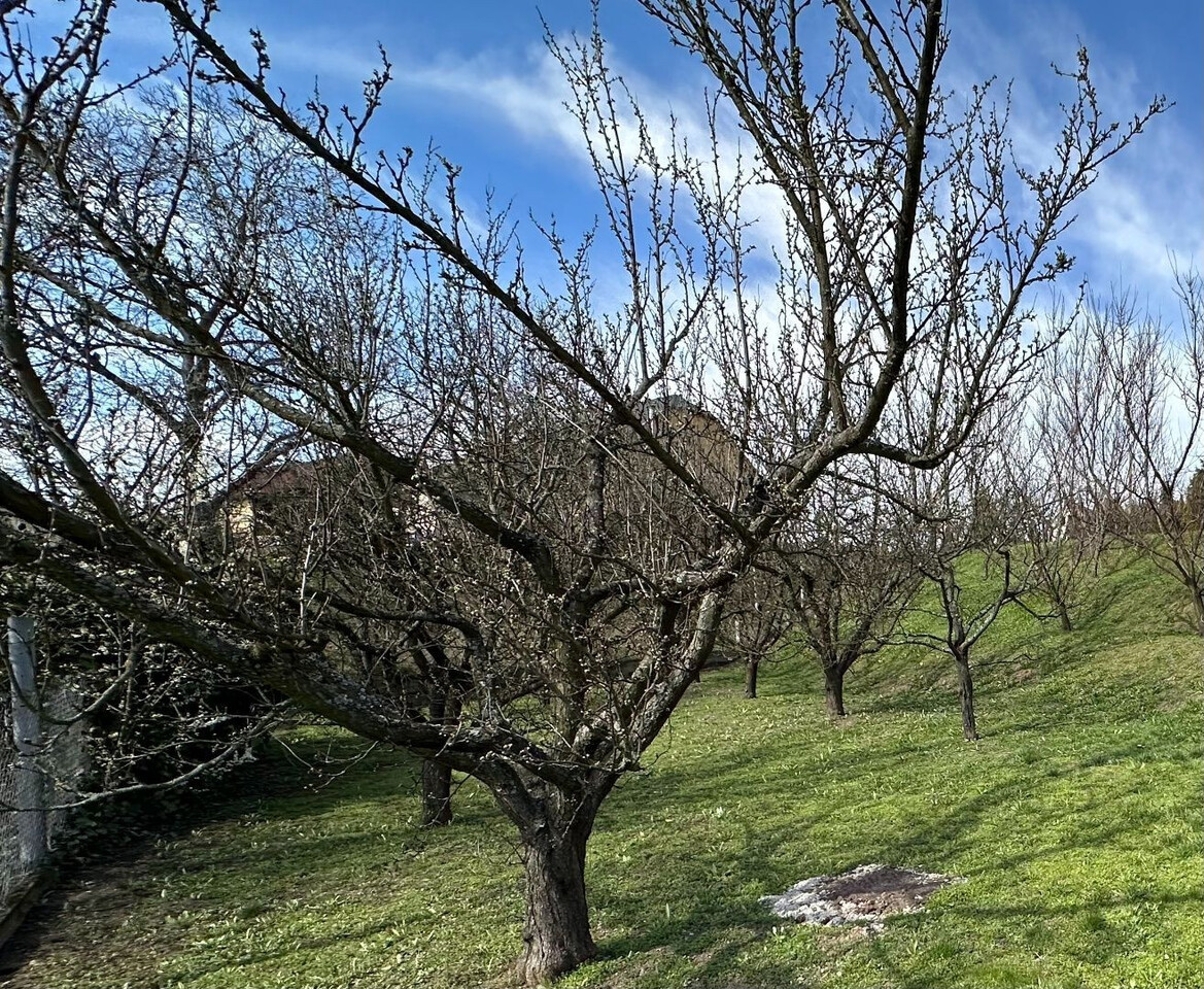 Galéria k nehnuteľnosti