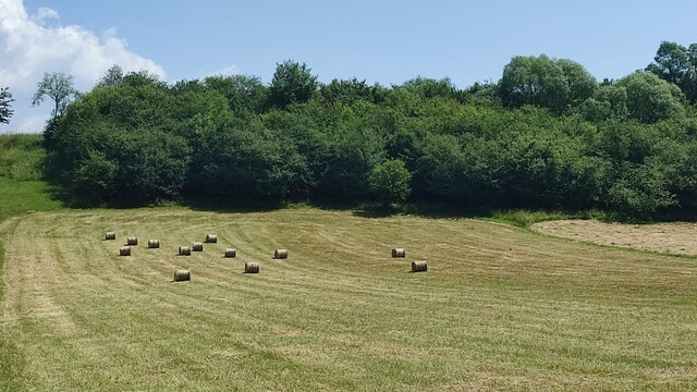 Galéria k nehnuteľnosti