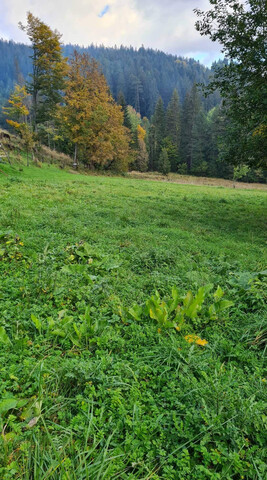 Galéria k nehnuteľnosti