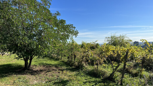 Galéria k nehnuteľnosti