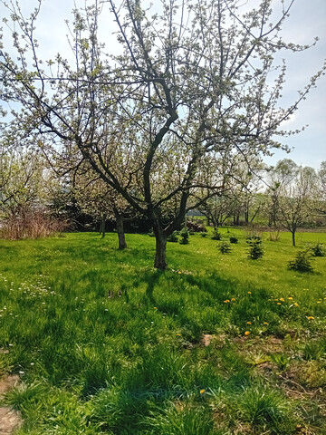 Galéria k nehnuteľnosti