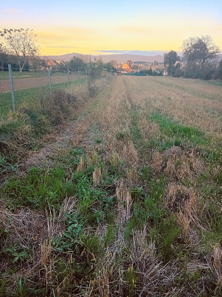 Galéria k nehnuteľnosti