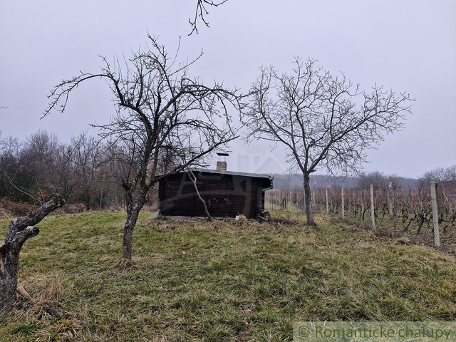 Galéria k nehnuteľnosti