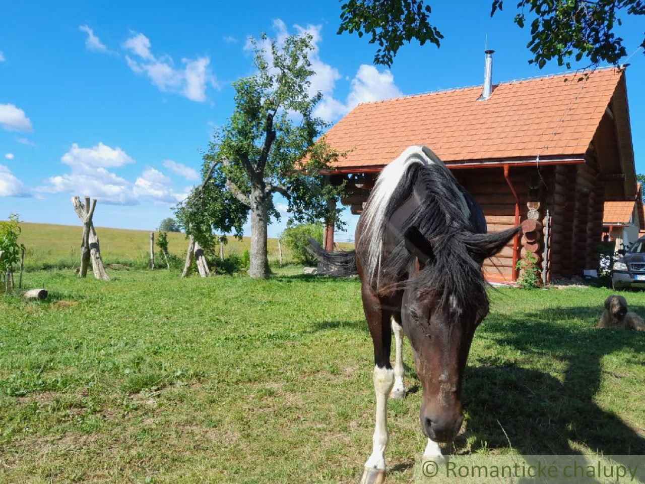 Galéria k nehnuteľnosti