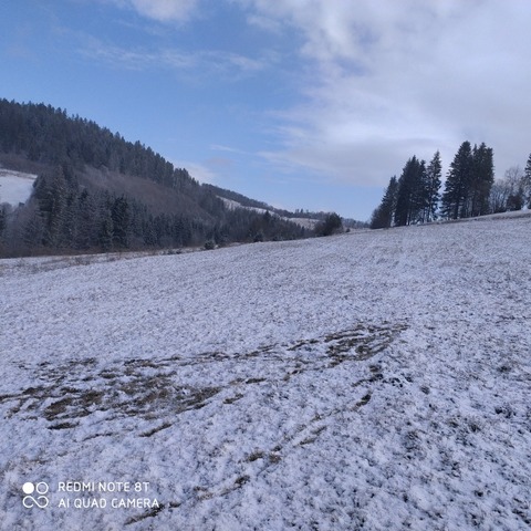 Galéria k nehnuteľnosti