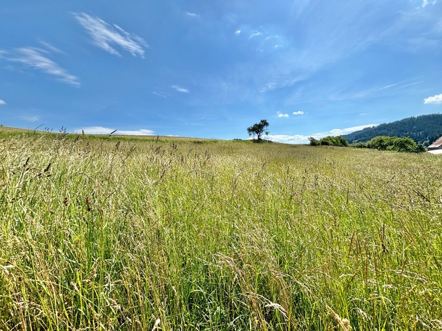 Galéria k nehnuteľnosti