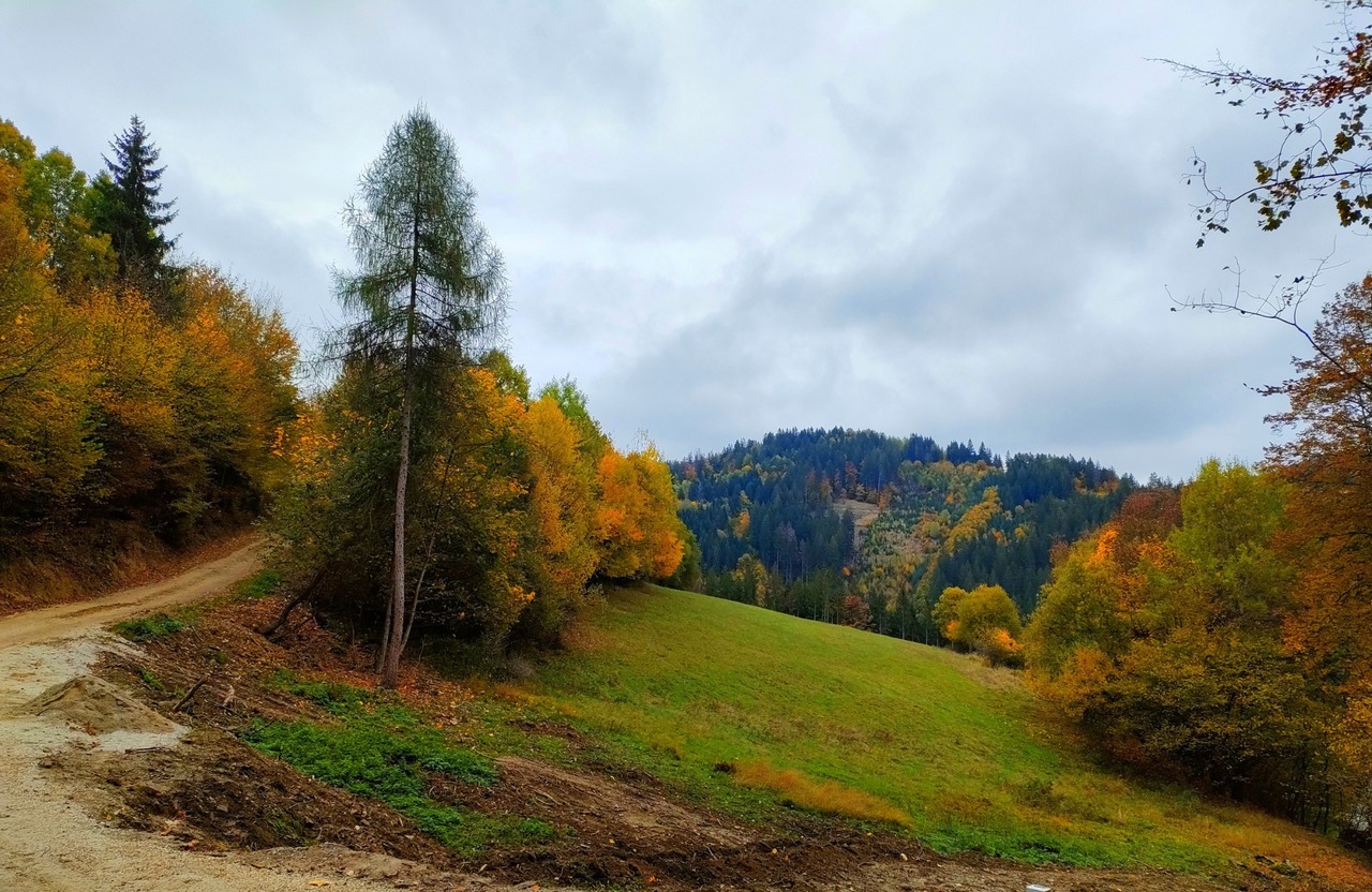 Galéria k nehnuteľnosti