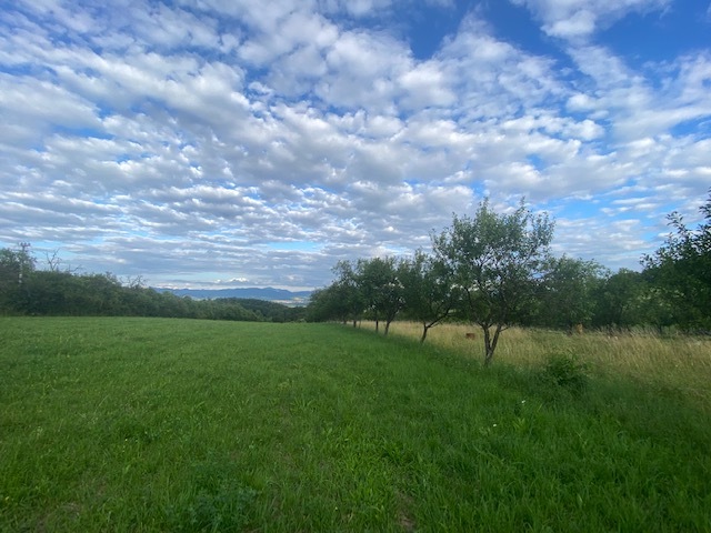 Galéria k nehnuteľnosti