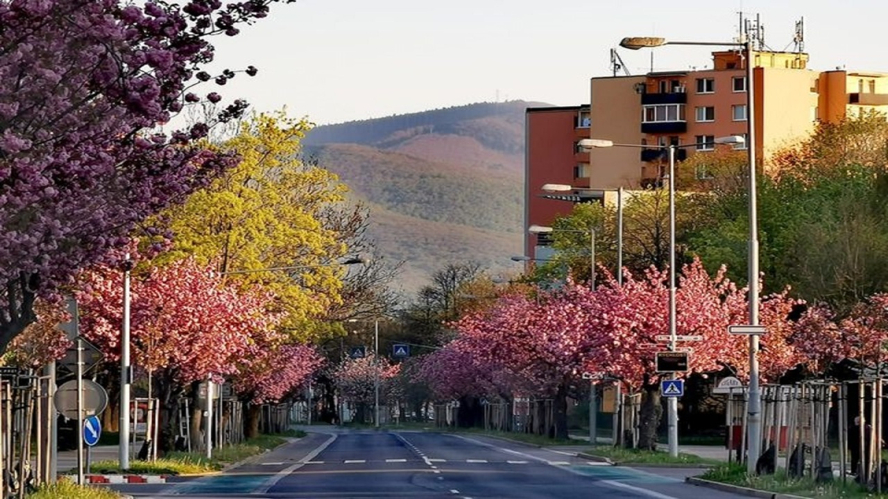 Galéria k nehnuteľnosti