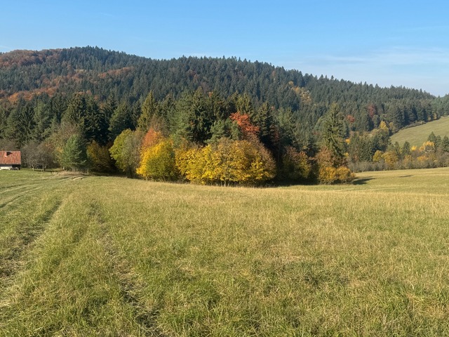 Galéria k nehnuteľnosti