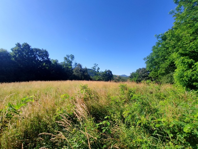 Galéria k nehnuteľnosti