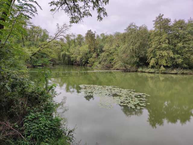 Galéria k nehnuteľnosti