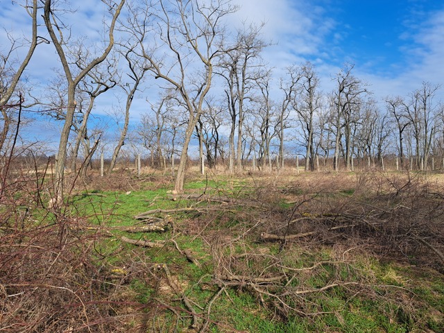 Galéria k nehnuteľnosti