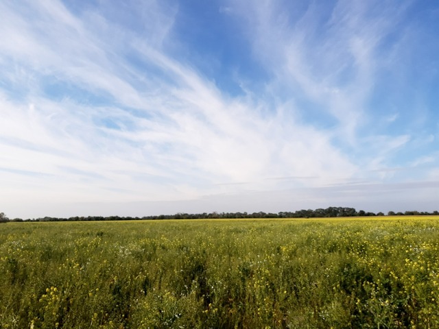 Galéria k nehnuteľnosti