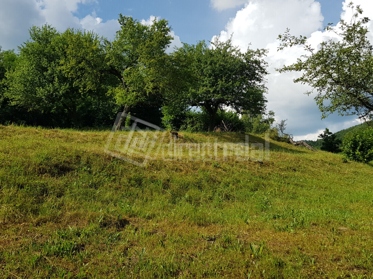 Galéria k nehnuteľnosti