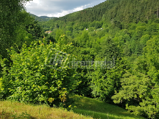 Galéria k nehnuteľnosti