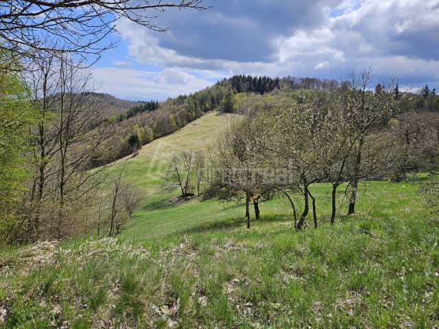 Galéria k nehnuteľnosti