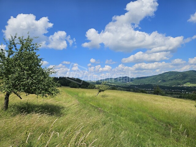 Galéria k nehnuteľnosti