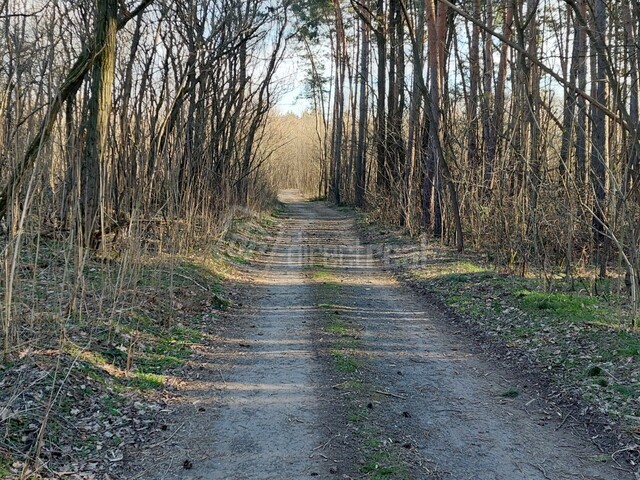 Galéria k nehnuteľnosti