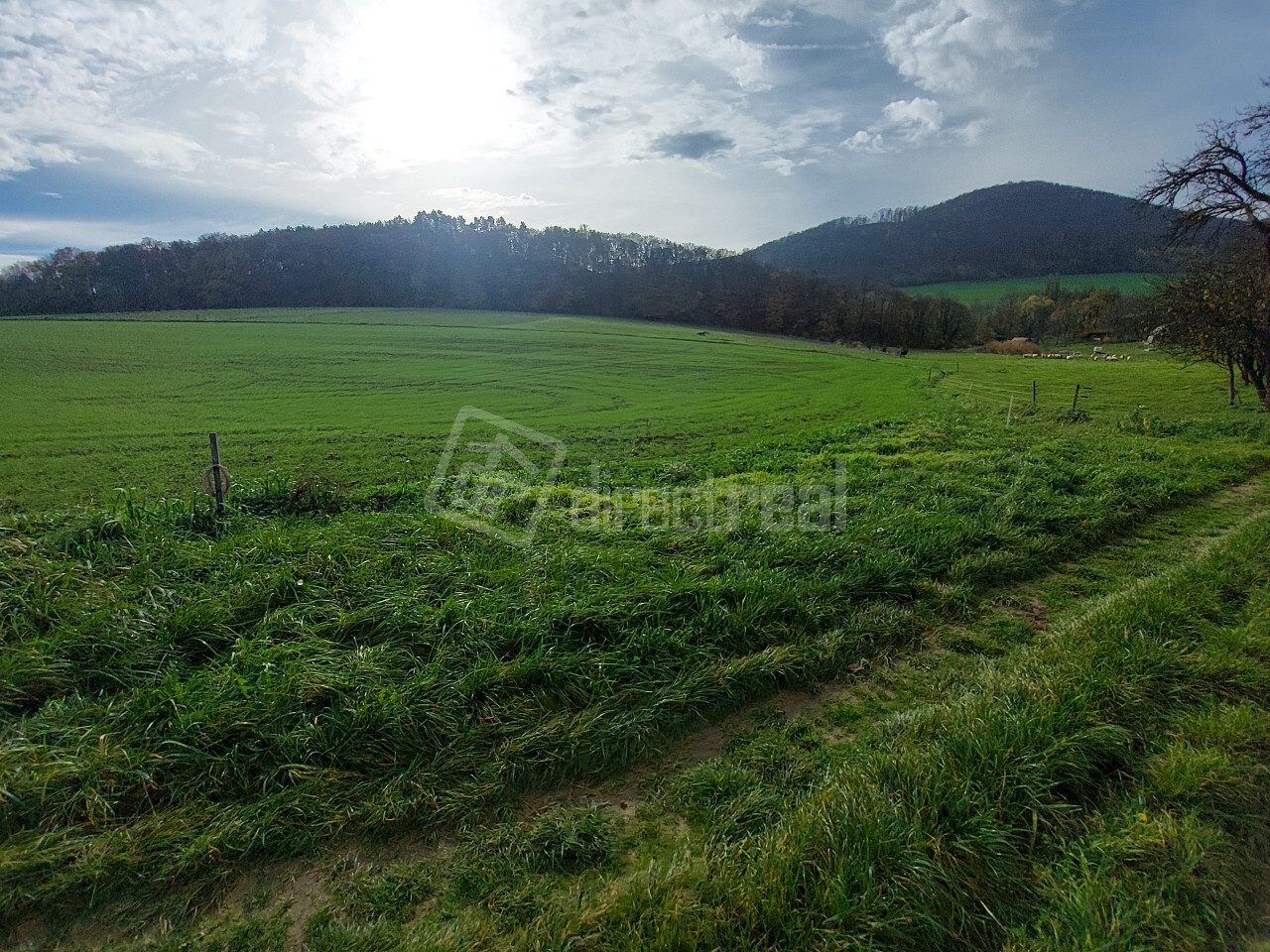 Galéria k nehnuteľnosti